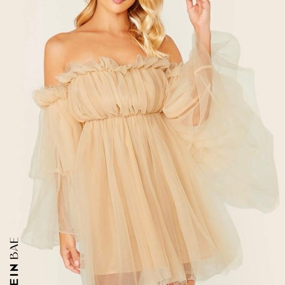 Off Shoulder Ruffle Mesh Dress - Picture 5 of 10